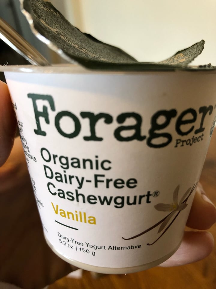 photo of Forager Project Organic Dairy-free Cashewmilk Yogurt Vanilla Bean shared by @s1224 on  20 Jul 2019 - review