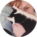 @franciscarevalo profile image