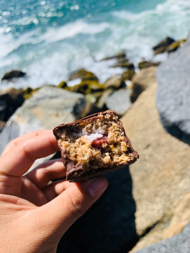 Foto do prato “Vegansito”