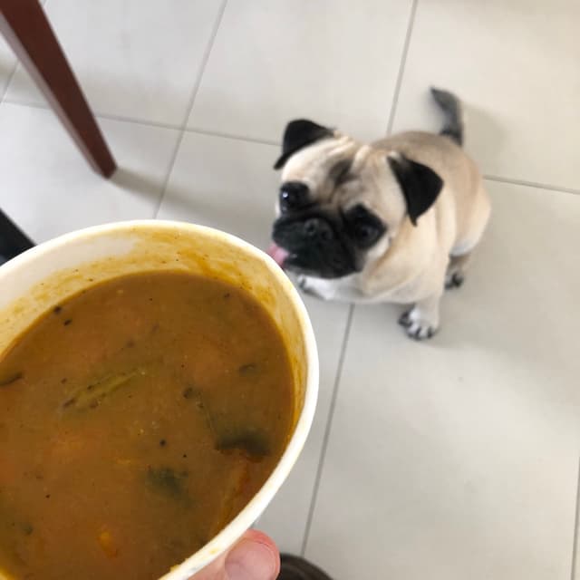 Photo of the dish “Madras sambar”