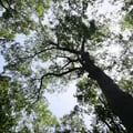 sofisc @sofisc profile image