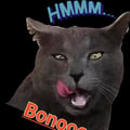zengia @zengia profile image