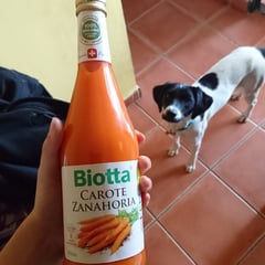 Biotta