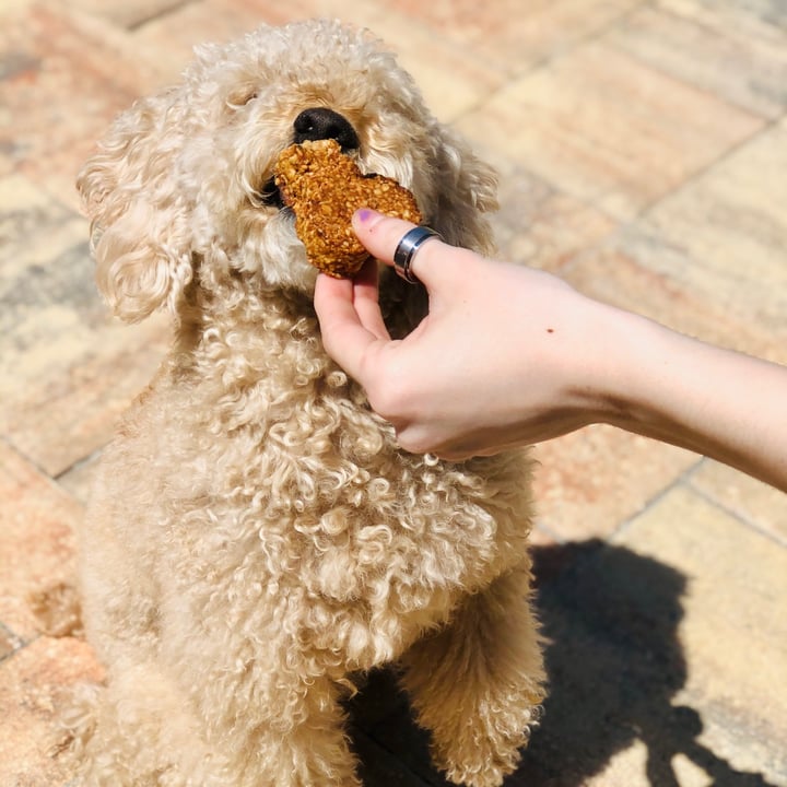 photo of Oh My Soul Doggie Biscuit shared by @alexanicole on  05 Apr 2022 - review