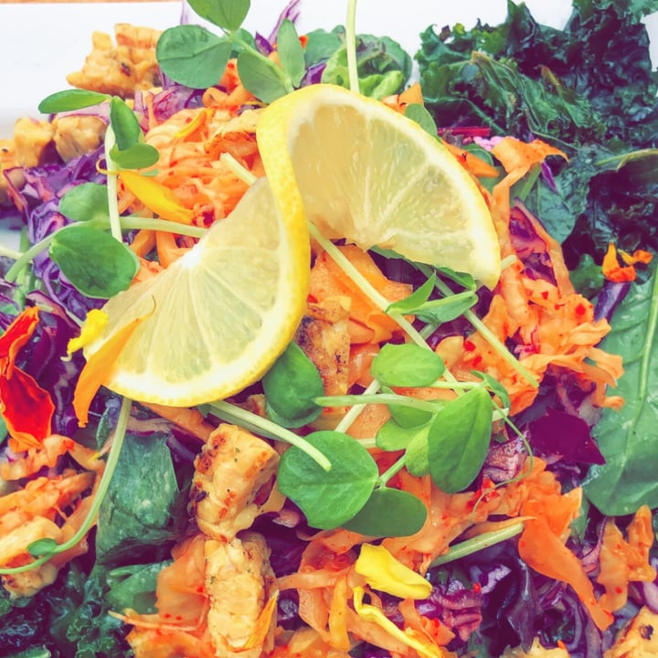 review photo of Press Market Probionic Salad (without the goat feta) shared by @missmadelinek on 14 Sep 2020 - review