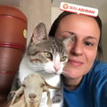 katianefusinato @katianefusinato profile image