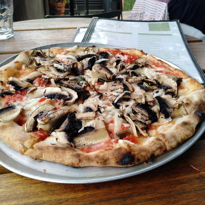 photo of The Cornish Arms Hotel Funghi Pizza (vegan option) shared by @veganadam on  30 Jan 2022 - review