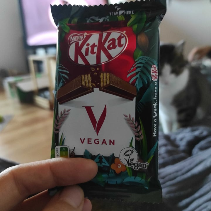 photo of Nestlé Kitkat Vegan shared by @alepixie on  27 Nov 2022 - review