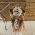 anikoftv2 @anikoftv2 profile image