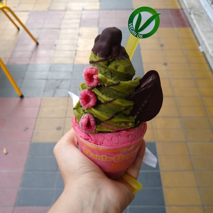 photo of Dante Soppelsa Helados Veganos (Frambuesa Y Rosas, Y Matcha Y Lima shared by @lp091200 on  01 Mar 2021 - review