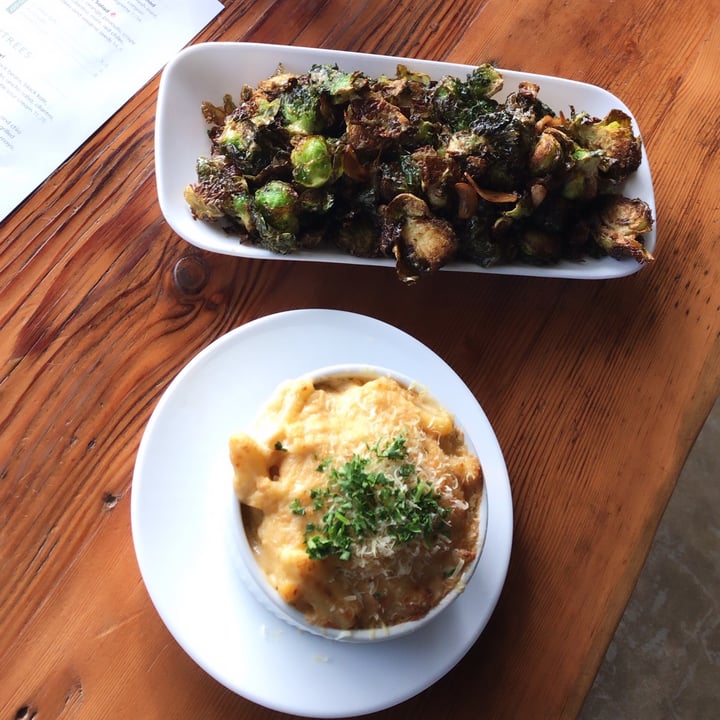 review photo of SunCafe Mac n Cheese shared by @govegan161616 on 24 Apr 2020 - review