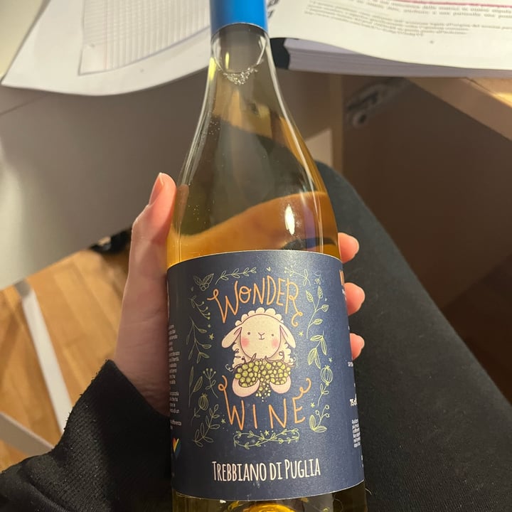 photo of Wonder wine Wonder wine trebbiano shared by @amyberti6 on  27 Nov 2022 - review