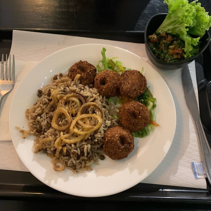 photo of Nour - Restaurante Árabe falafel com arroz de lentilhas e salada fatuche shared by @apsilveira on  08 Jun 2022 - review