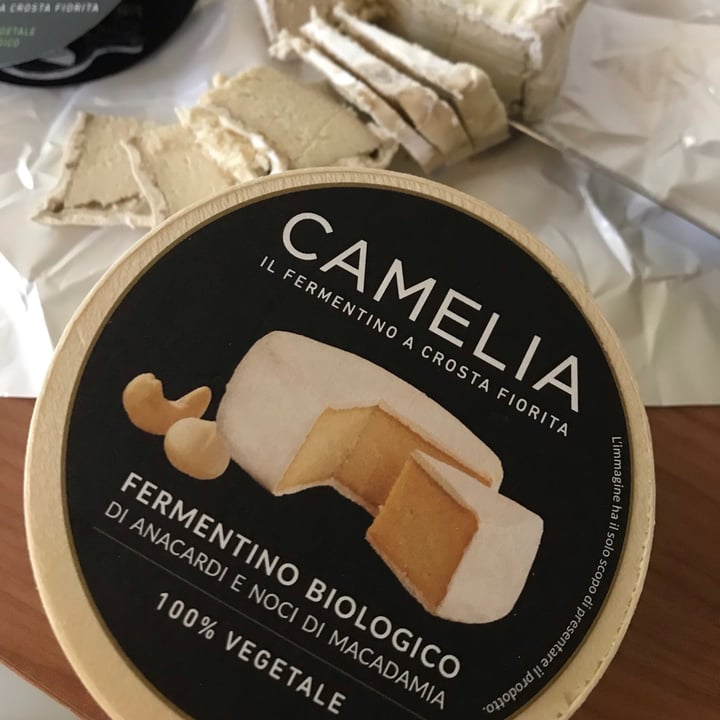photo of Camelia Fermentino a crosta fiorita shared by @alessiastaste on  13 Apr 2021 - review