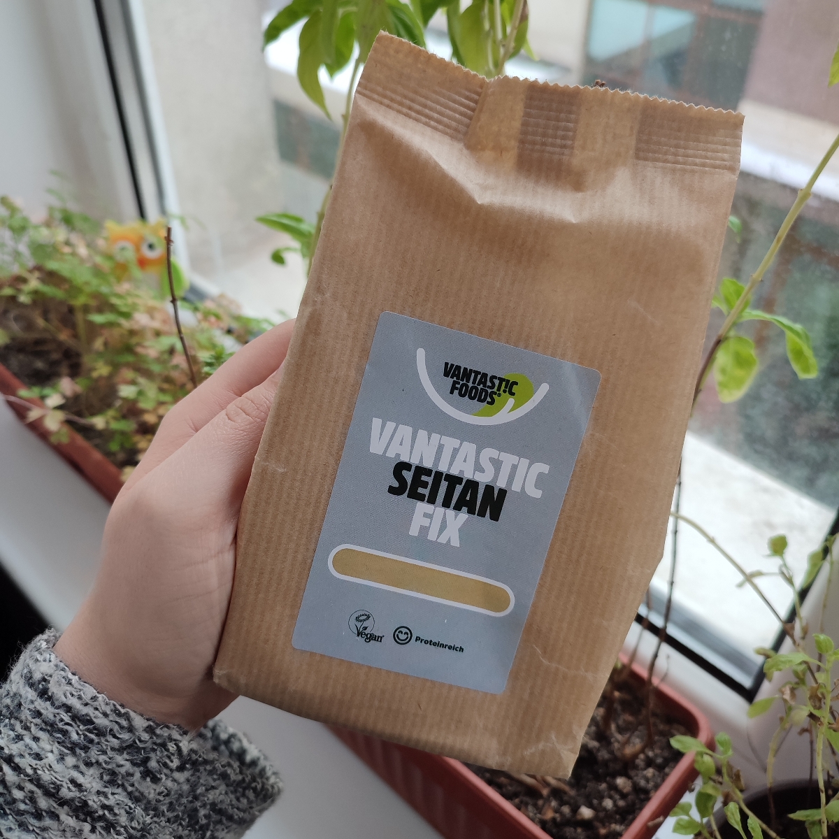 Vantastic Foods Seitan Fix Reviews abillion