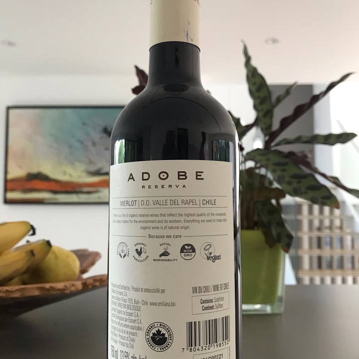 photo of Emiliana Adobe shared by @plantlove on  19 Jul 2021 - review