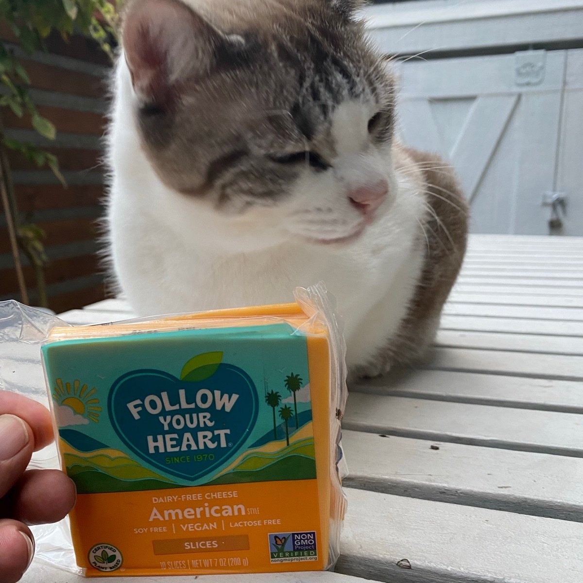 Follow your Heart American Style Slices Reviews abillion