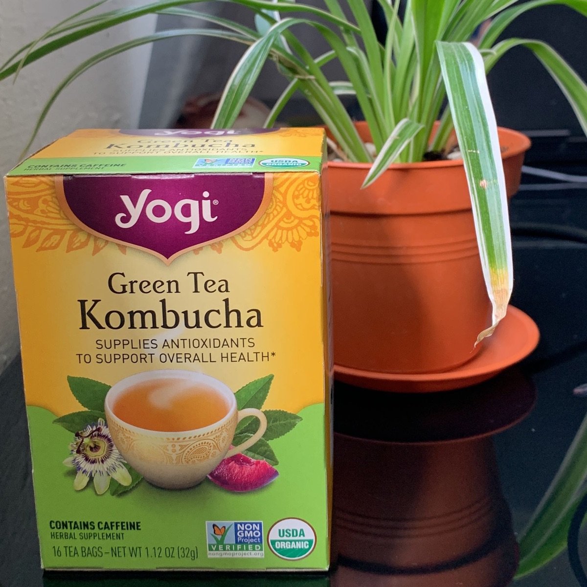 Yogi Tea Organic Green Tea Kombucha Reviews abillion