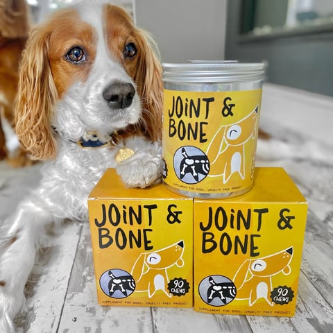 Advanced hip & joint supplements for dogs