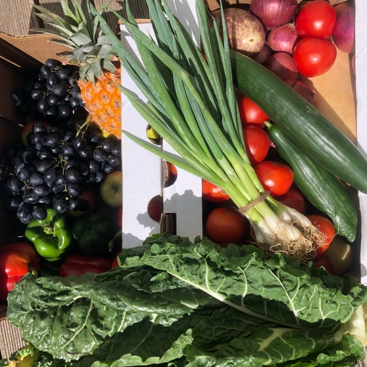 review photo of Lippy’s Food BIGBOX shared by @ellaaaa on 12 Feb 2022 - review