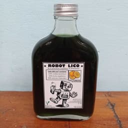 Robot lico