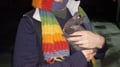 moggers @moggers profile image