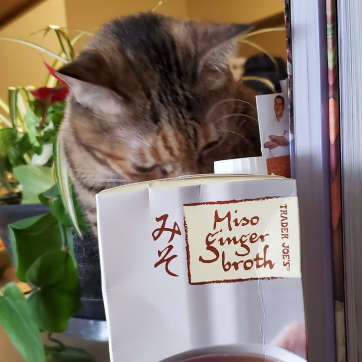 photo of Trader Joe's Miso Ginger Broth shared by @eriluc on  01 Jan 2021 - review