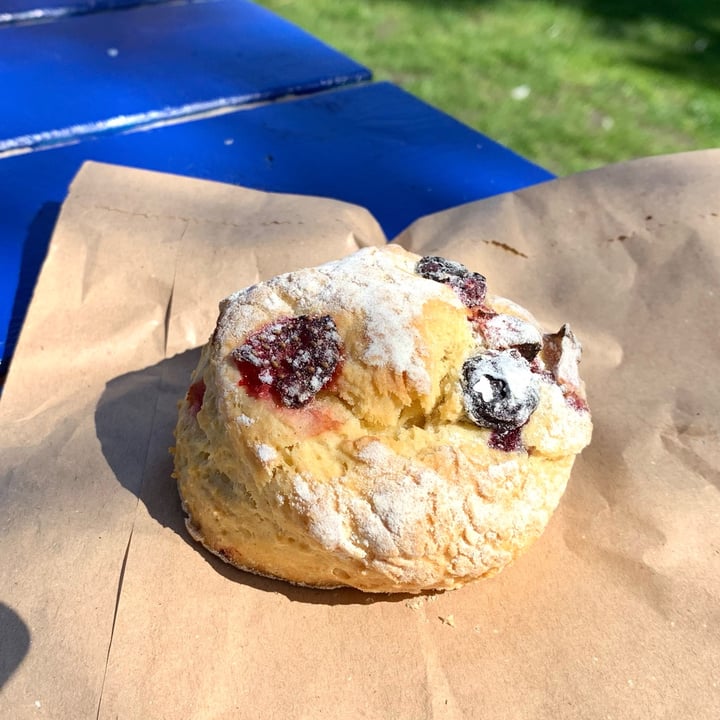 photo of Goji Cafe Vegetarian Cafe & Deli Mixed Berry Scone shared by @vegpledge on  24 Apr 2022 - review
