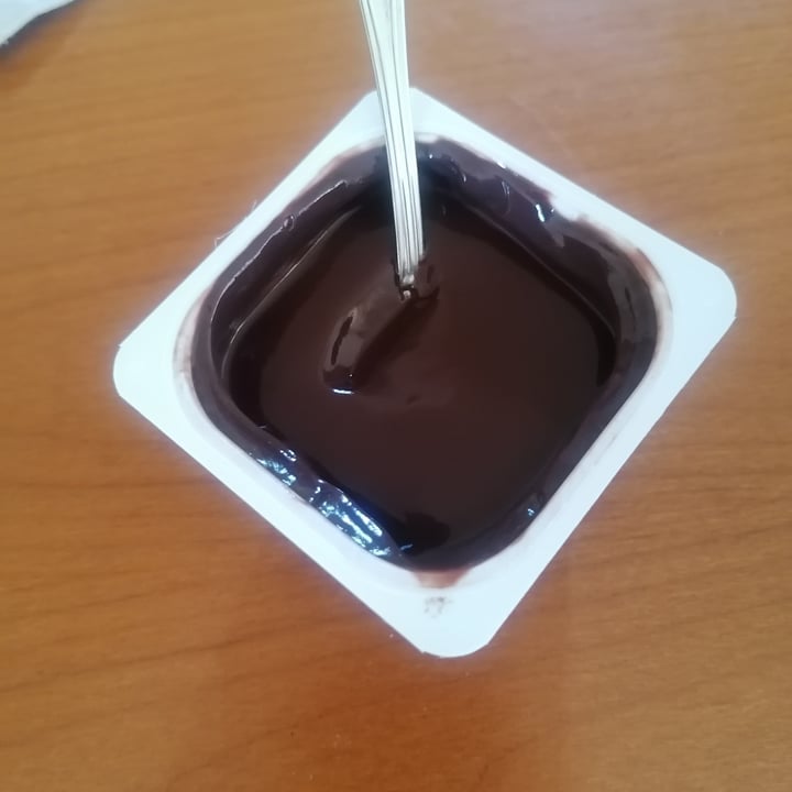 photo of Alpro Devilish Dark Chocolate Dessert shared by @julesss7390 on  12 May 2022 - review