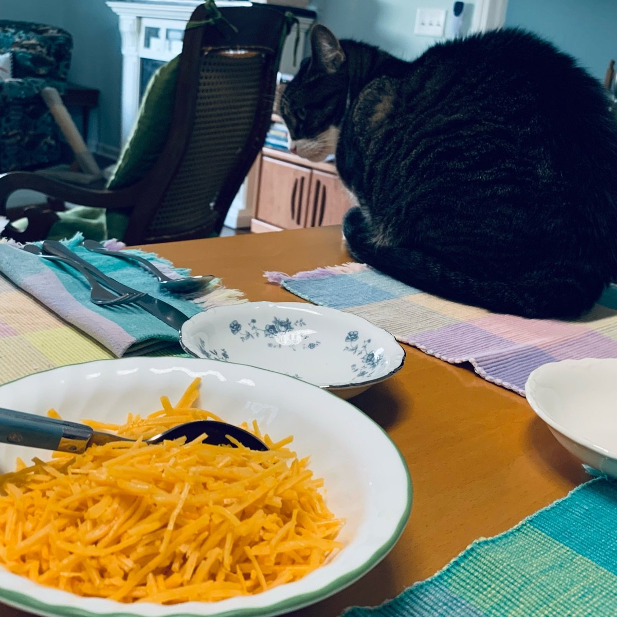 365 Whole Foods Market Plant Based Cheddar Cheese Alternative Shredded