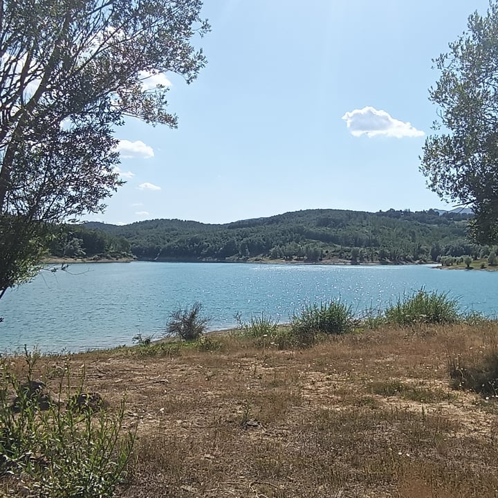 review photo shared by @francescor on 18 Jul 2022 - post