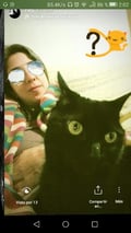 pochi @pochi profile image