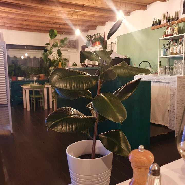 photo of Green corner Entrè shared by @lindasunny on  27 Mar 2022 - review