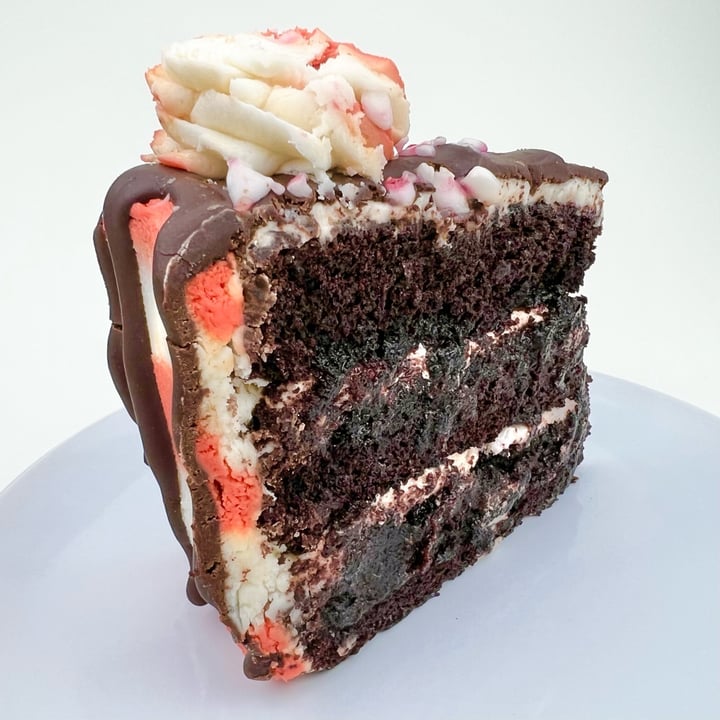 photo of Shoofly Vegan Bakery and Cafe Peppermint Mocha Cake shared by @pdxveg on  25 Dec 2021 - review