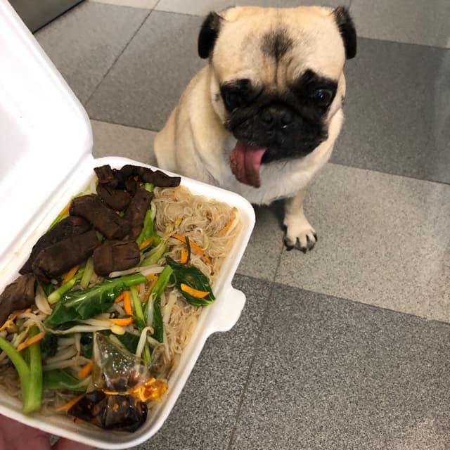 Photo of the dish “Mushroom fried vermicelli noodle”