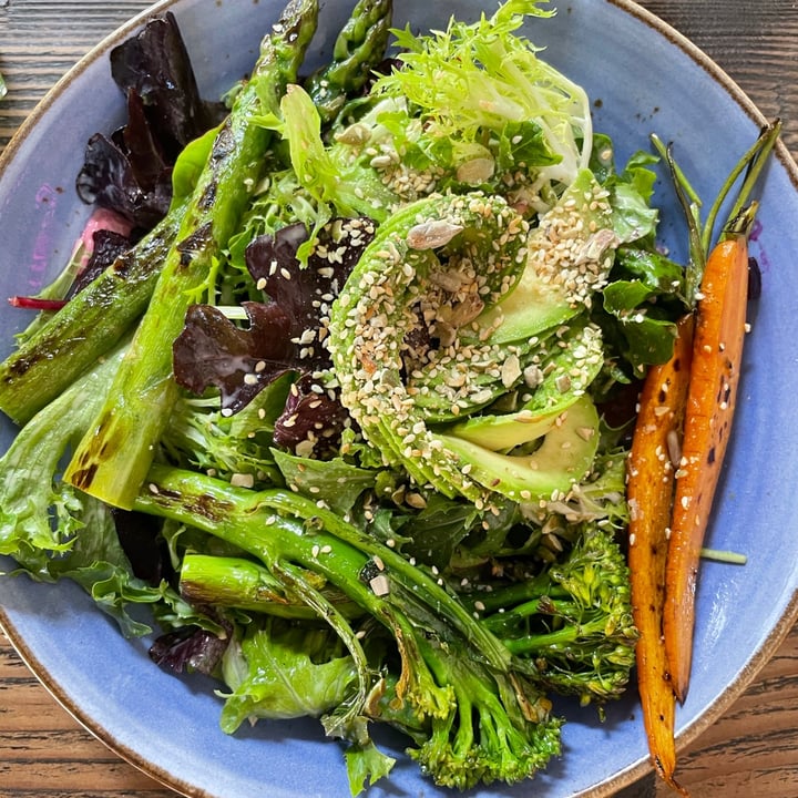 photo of Rabbit Carrot Gun Rabbit Greens shared by @lindajazzyjourney on  26 Jan 2021 - review