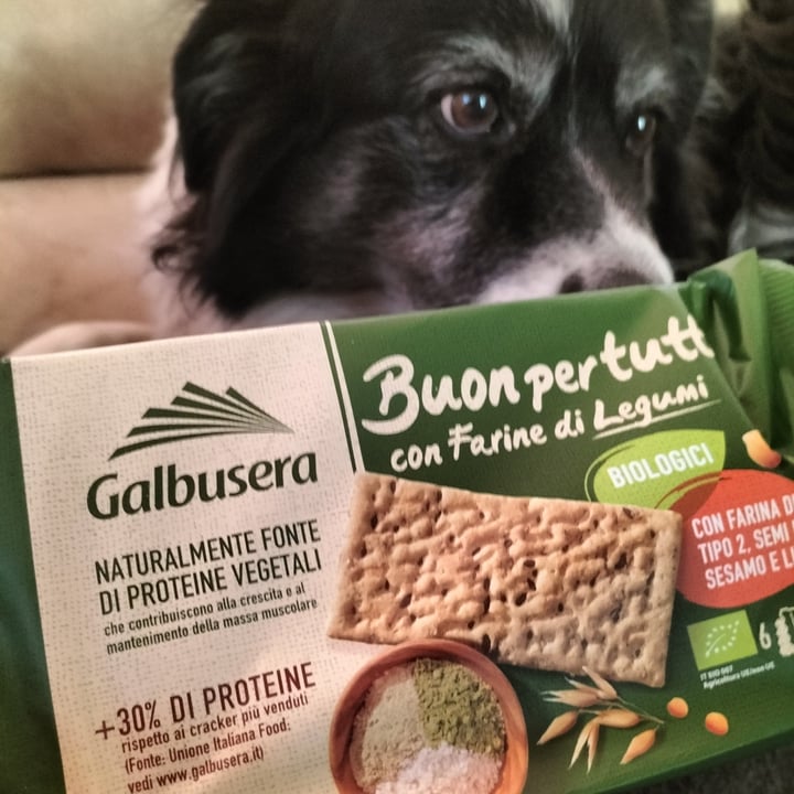 photo of Galbusera Buon per tutti biologico con farine di legumi shared by @raffa70s70 on  01 Dec 2022 - review