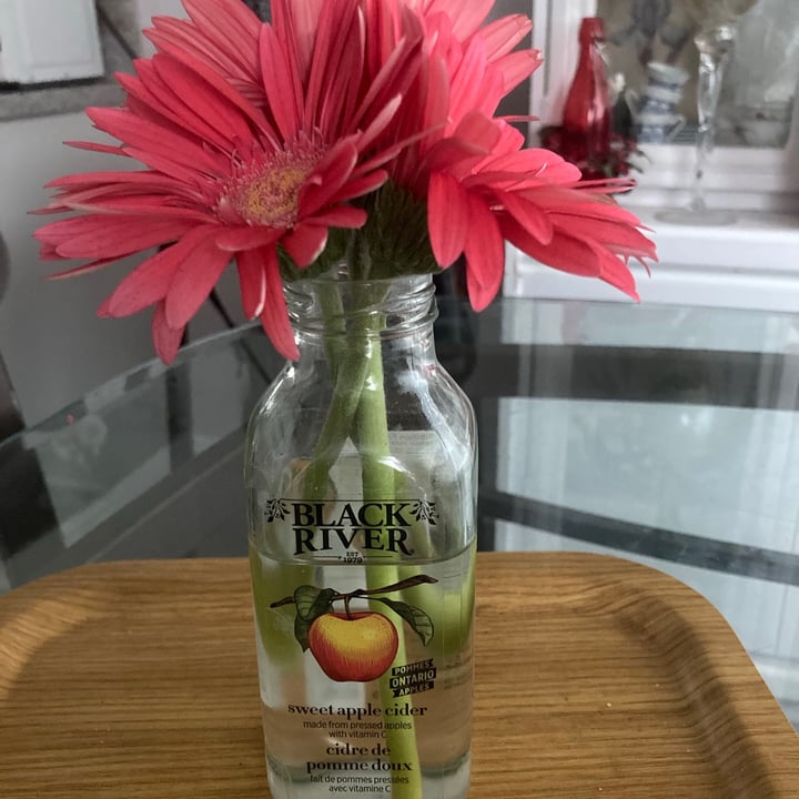photo of Black River Sweet apple cider shared by @archiesmum on  28 Jun 2021 - review
