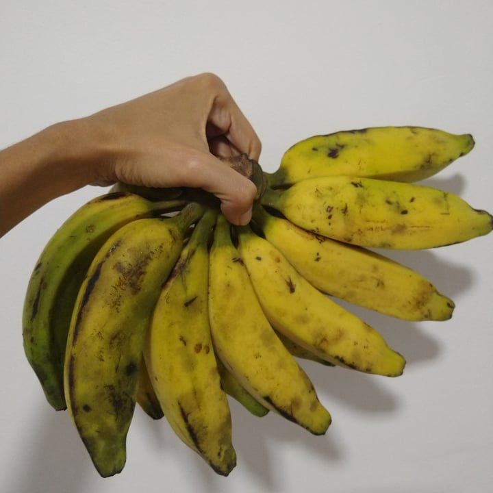 review photo of Banana fruit shared by @lucianealves on 11 May 2022 - review