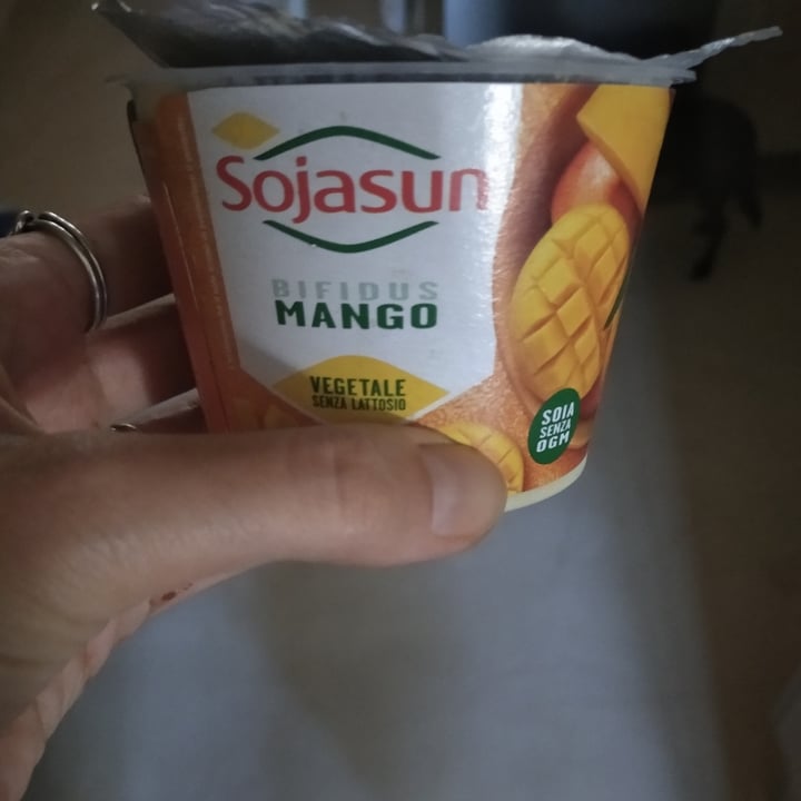 photo of Sojasun Bifidus Mango shared by @lycina85 on  30 Sep 2022 - review