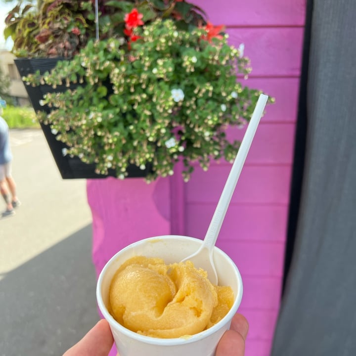 photo of Scoopy Doos Mango Pineappe Sorbet shared by @veganmika on  03 Jul 2022 - review