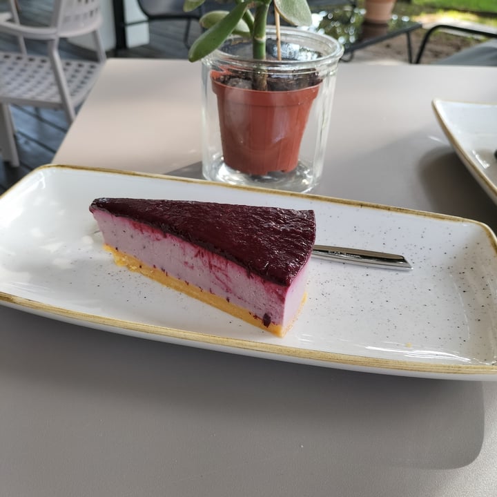 photo of BioEssere Café&Bistrot veg & vegan Cheescake shared by @zago on  13 Sep 2022 - review