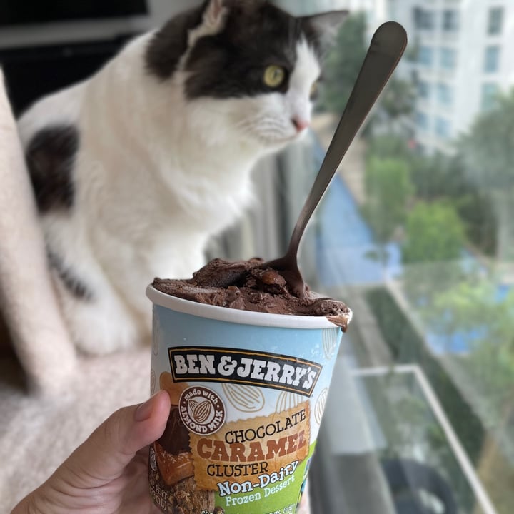 photo of Ben & Jerry's Chocolate Caramel Cluster Non-Dairy Frozen Dessert shared by @ina-n on  19 Jul 2021 - review