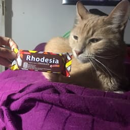 Rhodesia