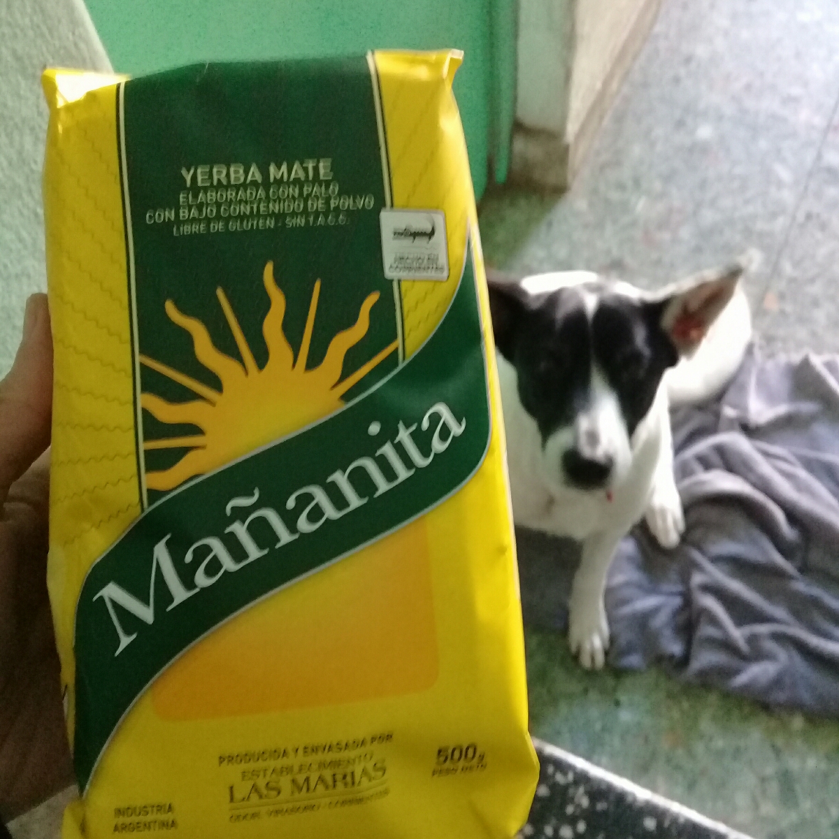 ma-anita-ma-anita-reviews-abillion