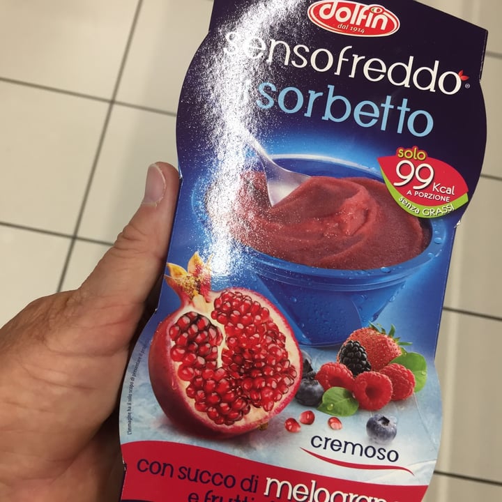 photo of Dolfin Sorbetto melograno e frutti di bosco shared by @zonafranca99 on  23 Jun 2022 - review