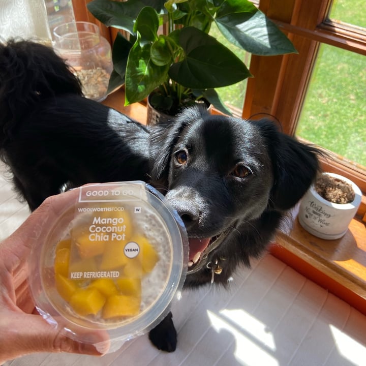 photo of Woolworths Mango coconut chia pot shared by @leighclare29 on  28 Jan 2021 - review