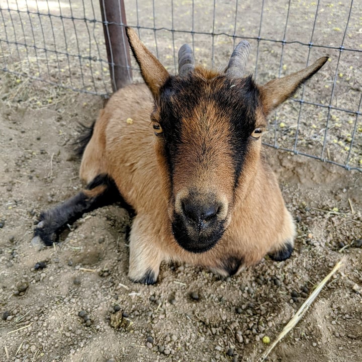 review photo shared by @sschrecker on 06 Mar 2022 - post