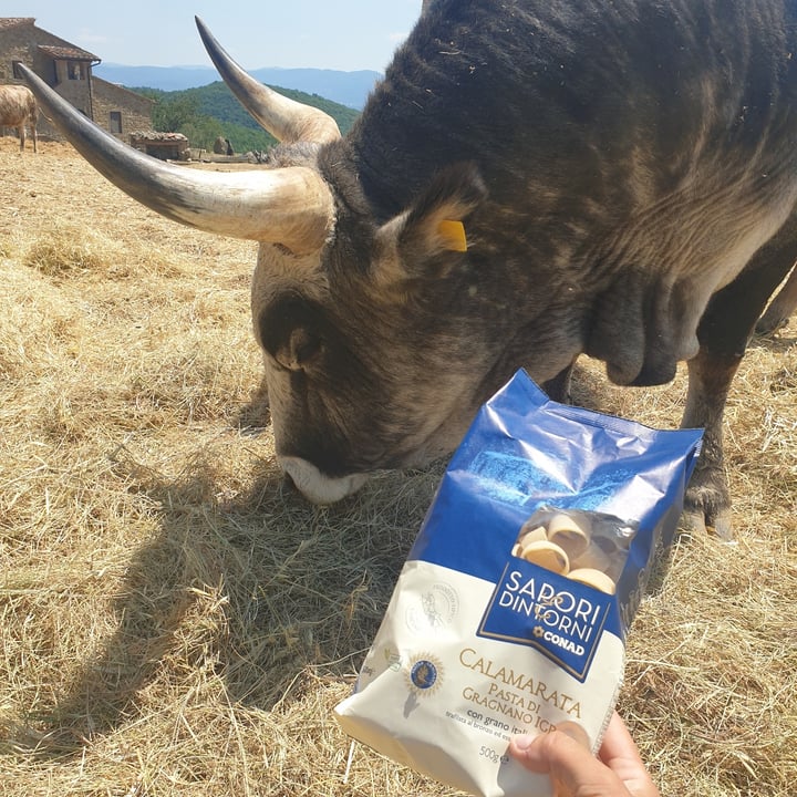 review photo of Conad sapori e dintorni Calamarata shared by @alessandramigliorini on 18 Jun 2022 - review