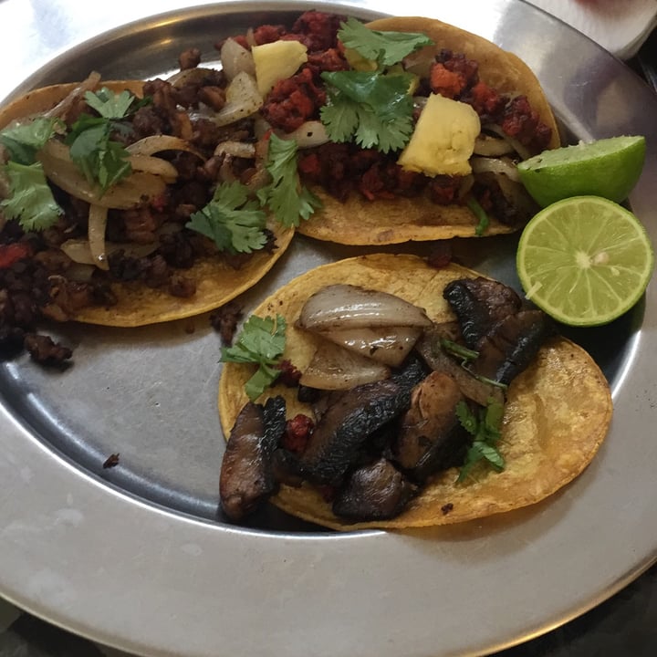 review photo of Shiva-Station Tacos De Soya Al Pastor shared by @jaxmagana on 26 Nov 2020 - review